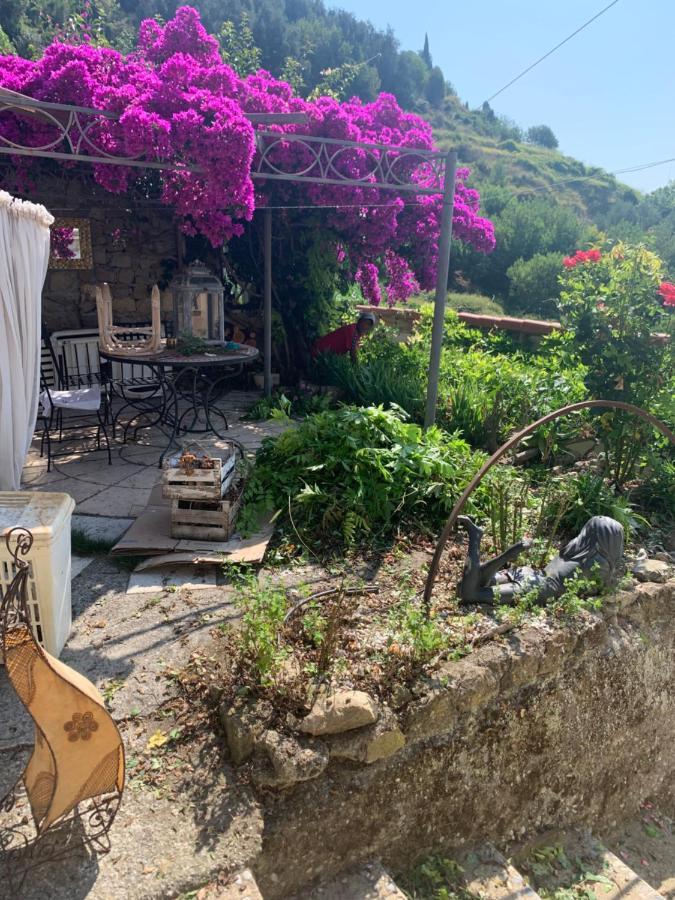 Villa D'Arte Mortola Superiore Eksteriør billede