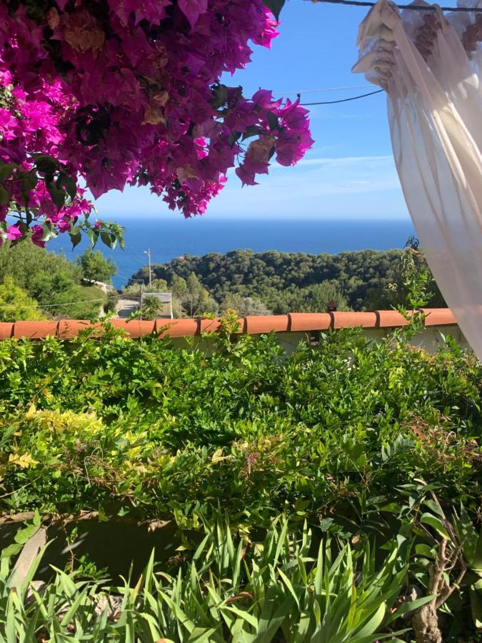 Villa D'Arte Mortola Superiore Eksteriør billede