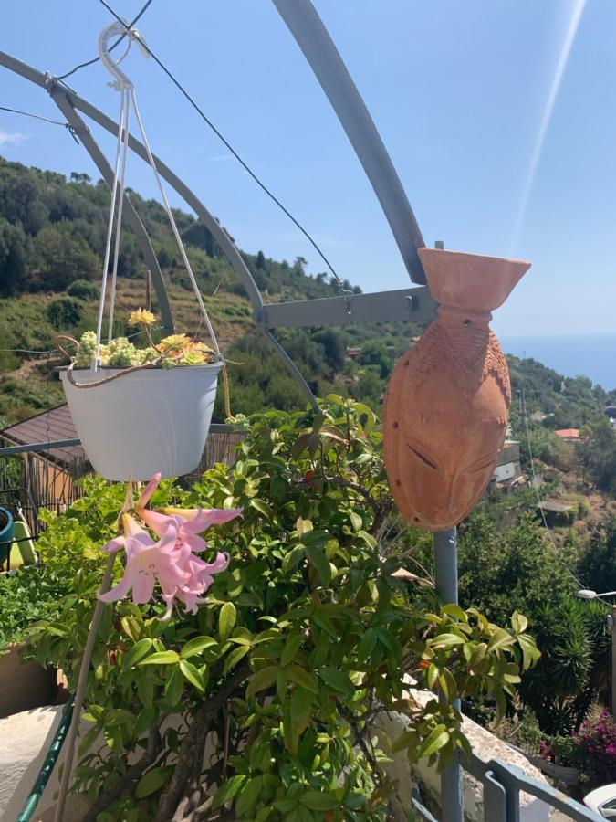 Villa D'Arte Mortola Superiore Eksteriør billede